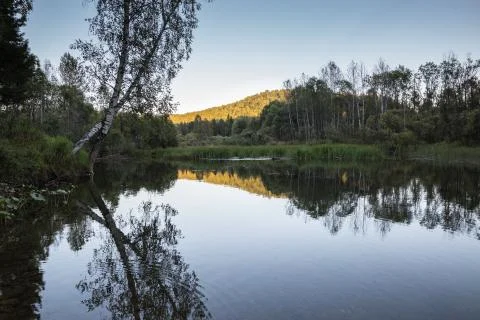 Evening 스톡 사진