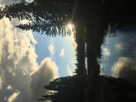 Evening Stock Photos