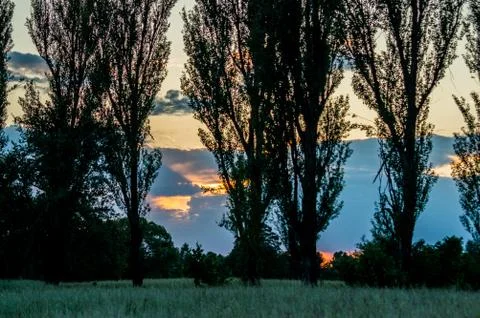 Evening Stock Photos