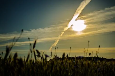 Evening Stock Photos