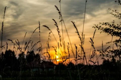 Evening Stock Photos