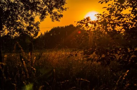 Evening Stock Photos