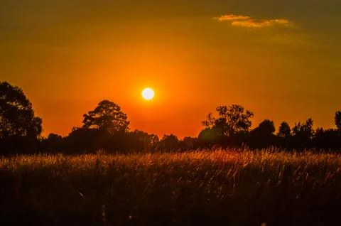 Evening Stock Photos