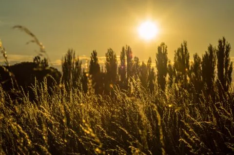 Evening Stock Photos