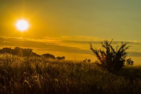 Evening Stock Photos