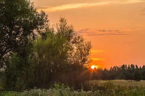 Evening Stock Photos