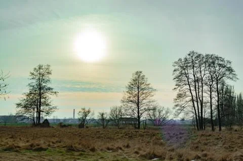 Evening  Stock Photos