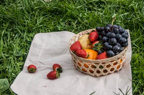 Evening picnic 스톡 사진