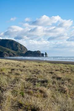 Evening at the Piha Beach Foto stock