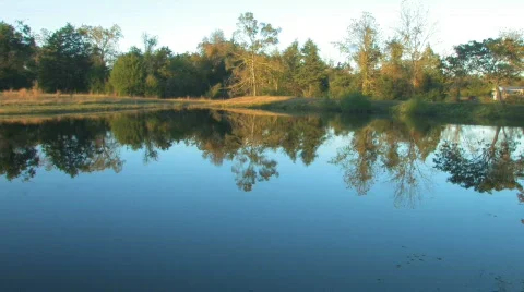 Evening pond 1 hdf Stock Footage 680533