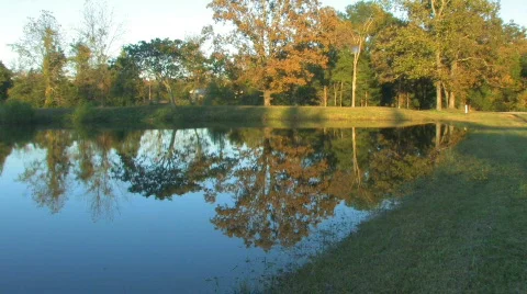 Evening pond 2 hdf Video stock 680641