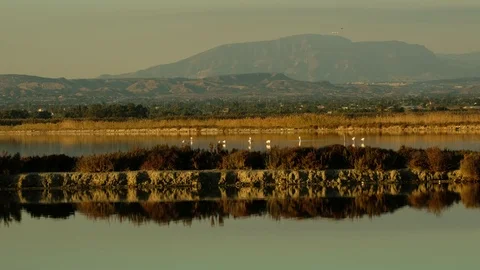 Evening pond Stock Footage 83465072