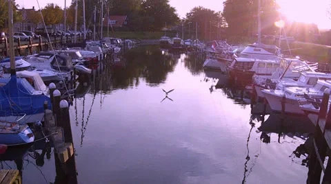 Evening in the port. Stock Footage 34493085