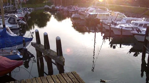 Evening in the port. Stock Footage 34494146