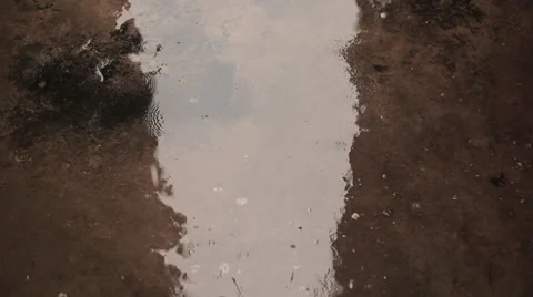 Evening Rain Drop Video stock 37218330