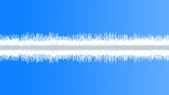 Evening rainforest sounds, PeruSound Effect