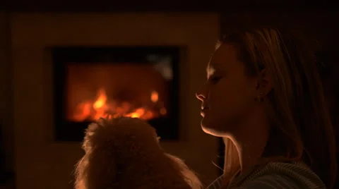 Evening with red curly dog. Stock Footage 57702138