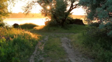 Evening on the river bank. Stock Footage 5504580