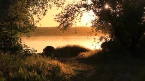 Evening on the river bank. Video stock 5505122