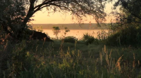 Evening on the river bank. Stock Footage 5505124