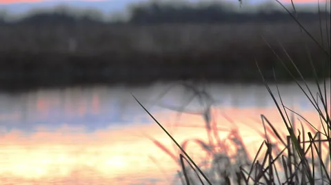 Evening on the river Stock Footage 50440527