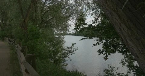 Evening on The River, Pond, Green Trees And Bushes, Water, Lake Stock Footage 50853861