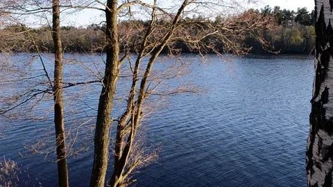 Evening on the river in the spring Stock Footage 76277453