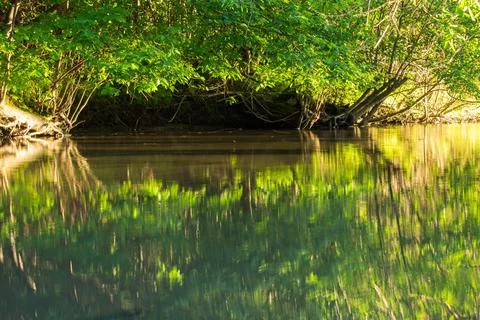 Evening on the river in the trees reflected Stock Photos