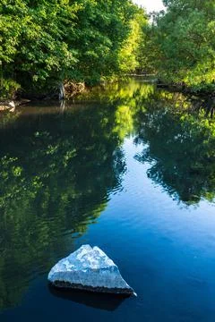 Evening on the river in the trees reflected Stock Photos