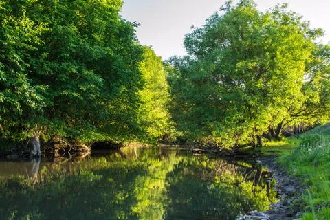 Evening on the river in the trees reflected Stock Photos