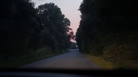 Evening Road In The Forest Stock Footage 119973139