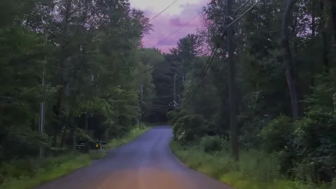 Evening Road Trip Through Sunlit Forest Roads Under a Purple Sky... Vidéo 316913678