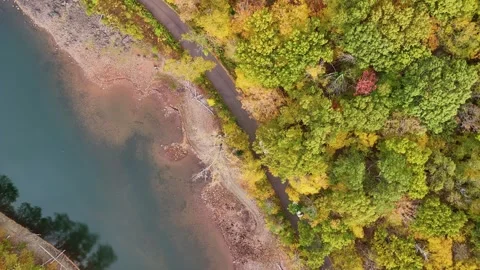 Evening Road Trip Through Sunlit Forest Roads. Filmed in 4K UHD. Vertical. Stockbeeldmateriaal 319884297