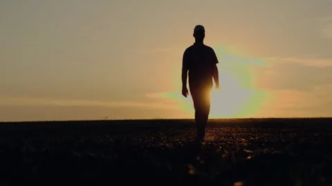 Evening routine of farmer silhouette includes walk through field at sunset Video stock 255106238