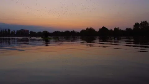 Evening rowing training, slow motion. Stockbeeldmateriaal 157480140