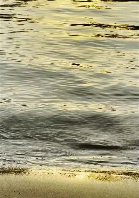 Evening sandy beach Stock Footage 303013115