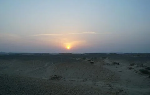 Evening scene in desert Stock Photos