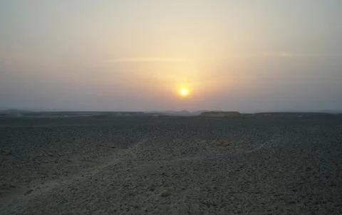 Evening scene in desert Stock Photos