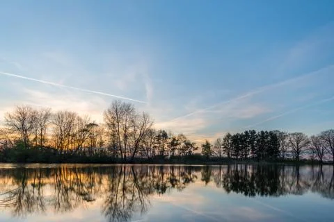 Evening scene with several trees on side of small pond Stock Photos