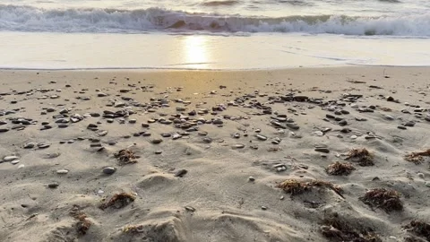 Evening sea beach shortly before sunset, fairly calm waves. Stock Footage 330493205