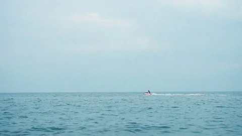 Evening sealine with scooter 動画素材 70138227