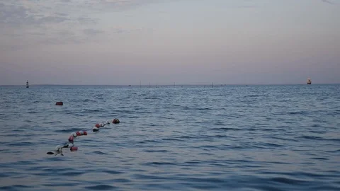 Evening seascape Stock Footage 114629725