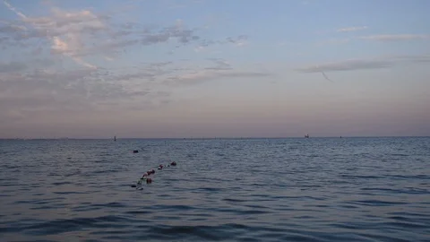 Evening seascape Stock Footage 114629744