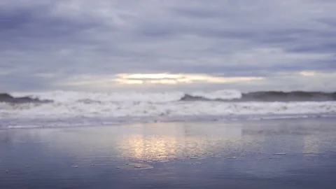 Evening seashore close up. Calm ocean water waves splashing sandy beach. Closeup Video stock 231279659
