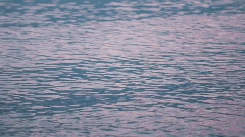 Evening seashore with wave close up. Calm night ocean water waves splashing Stock Footage 276611697