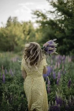 Evening Serenity in Bloom Foto stock