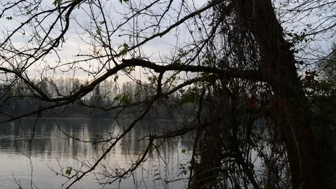 Evening at the shore of the danube river in austria Stock Footage 126987672