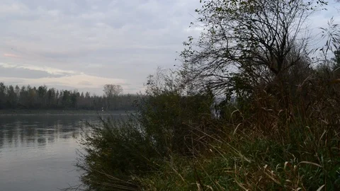 Evening at the shore of the danube river in austria Stock Footage 126987745