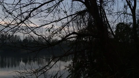 Evening at the shore of the danube river in austria 库存影片 126987881