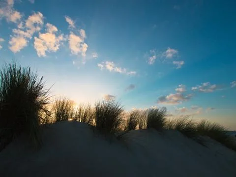 Evening on shore Stock Photos